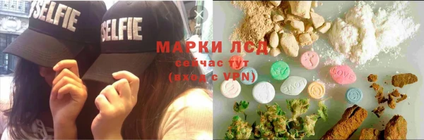 эйфоретик Тавда