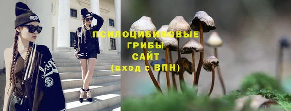 герыч Вяземский