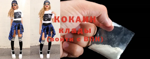 шишки Вязьма