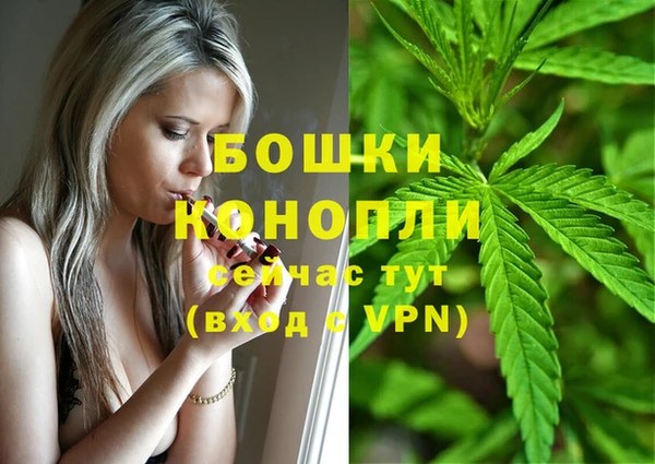 герыч Вяземский