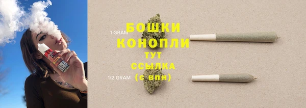 шишки Вязьма