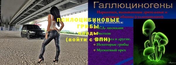 шишки Вязьма