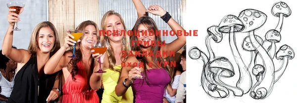 шишки Вязьма