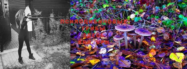 МДМА Вязники