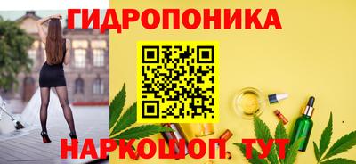 МДПВ Дубна