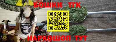 МДПВ Дубна