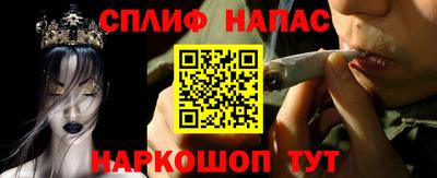 МДПВ Дубна