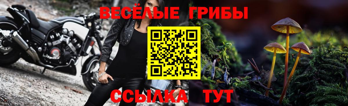 Галлюциногенные грибы Psilocybine cubensis  Вход с VPN  Мариинск 