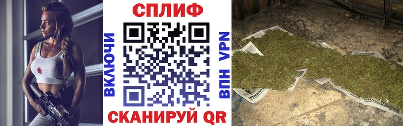Конопля марихуана  Мариинск 